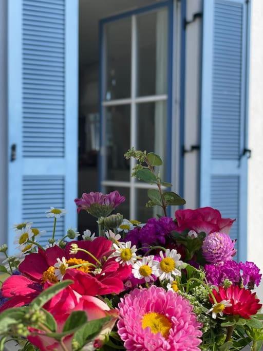 Reetdachhaus Seasons Mit Kamin & Sauna Groß Schwansee Zewnętrze zdjęcie